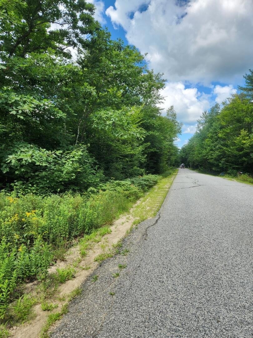 Weeman Rd (1)