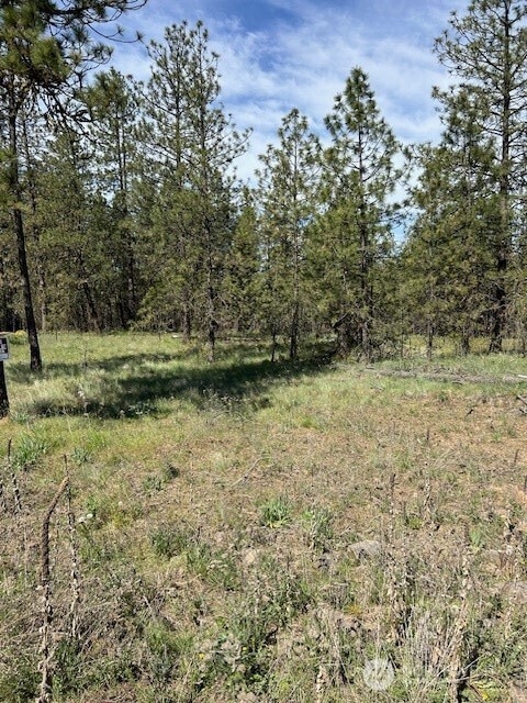 0 Rocky Ridge Rd unit NWM2426919, Davenport, WA 99169 - photo 1