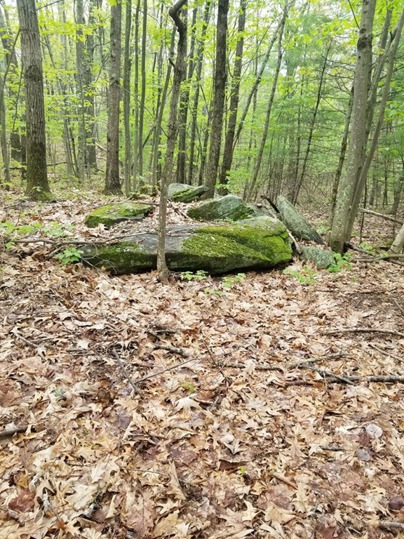 15 Forest St, Derry, NH 03038 - photo 1