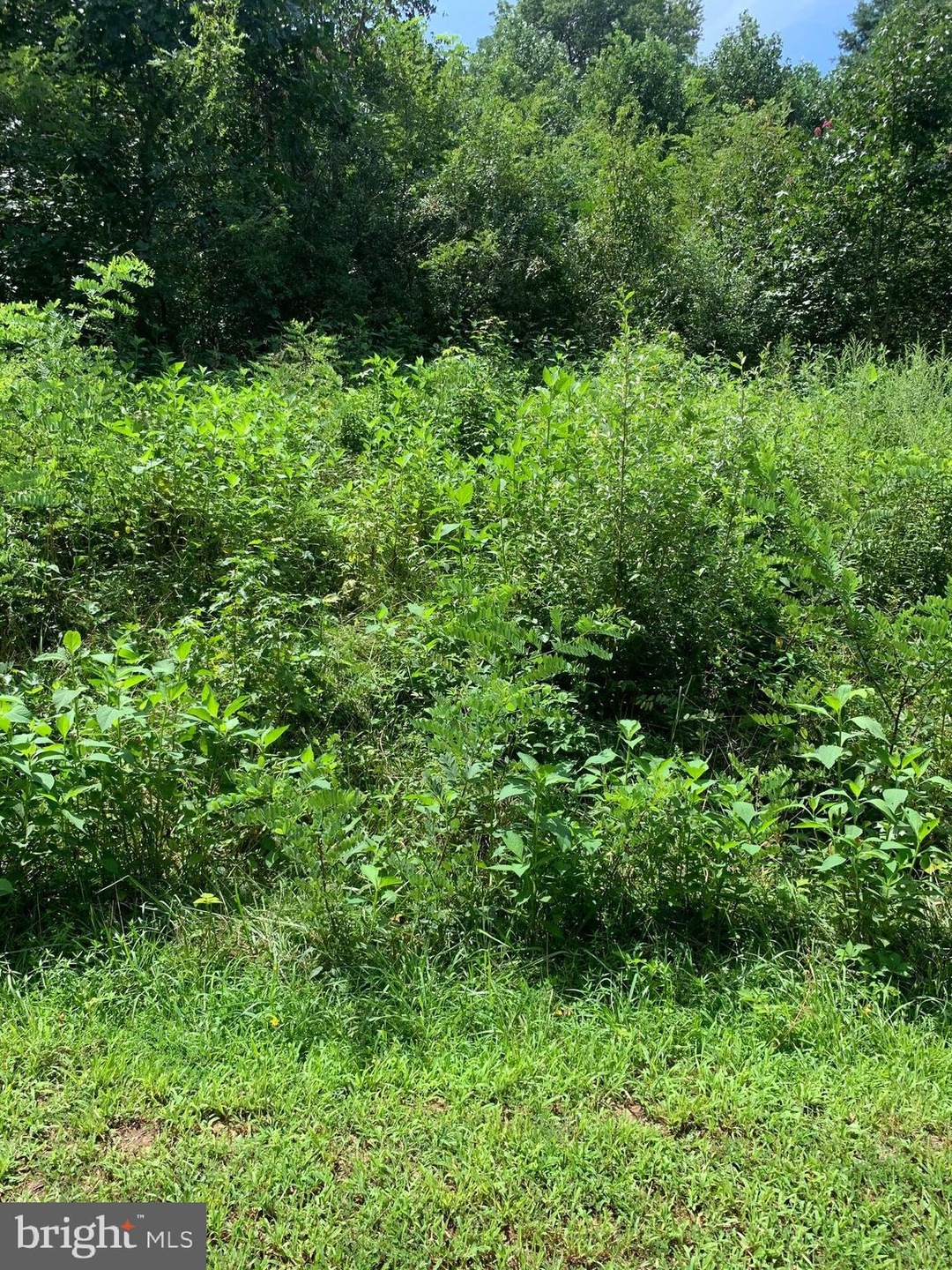 LOT 58 American Dr, Montross, VA 22520 - photo 1