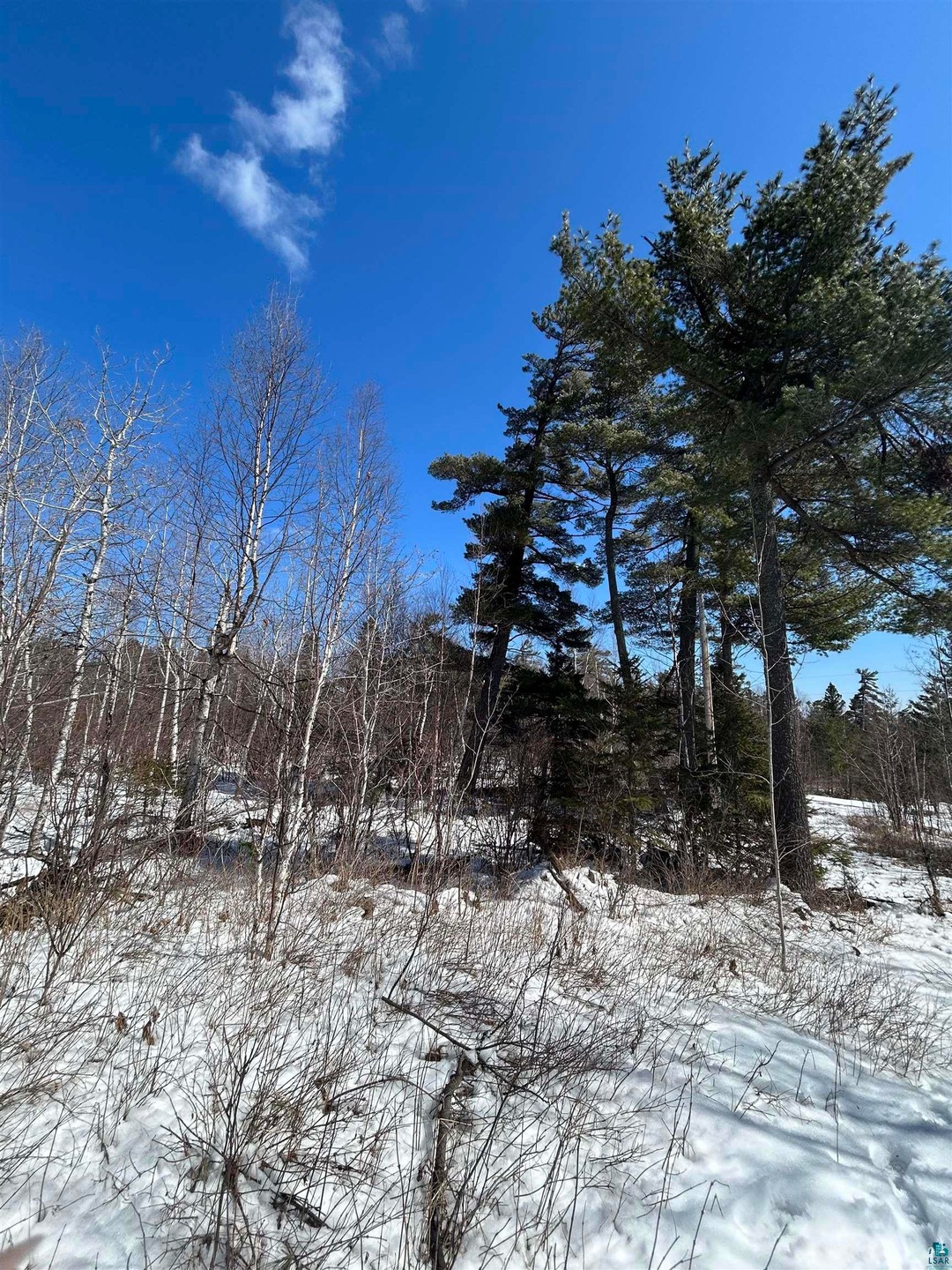 Sold $55,000 • Co-Listing Agent