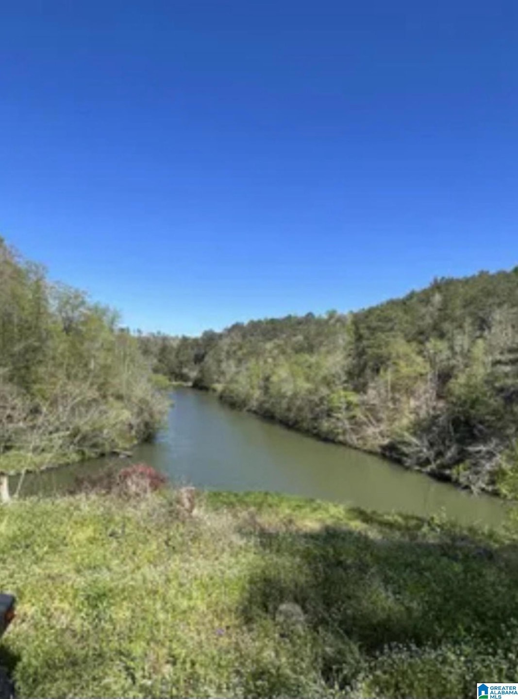 248 Riverview Rd, Adger, AL 35006 - photo 1