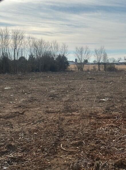 00 Redbud St, Rogersville, MO 65742 - photo 1