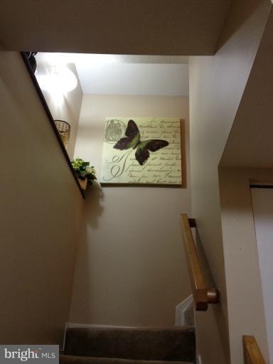 15330 Postillion Terrace, Woodbridge, VA 22191 - photo 1