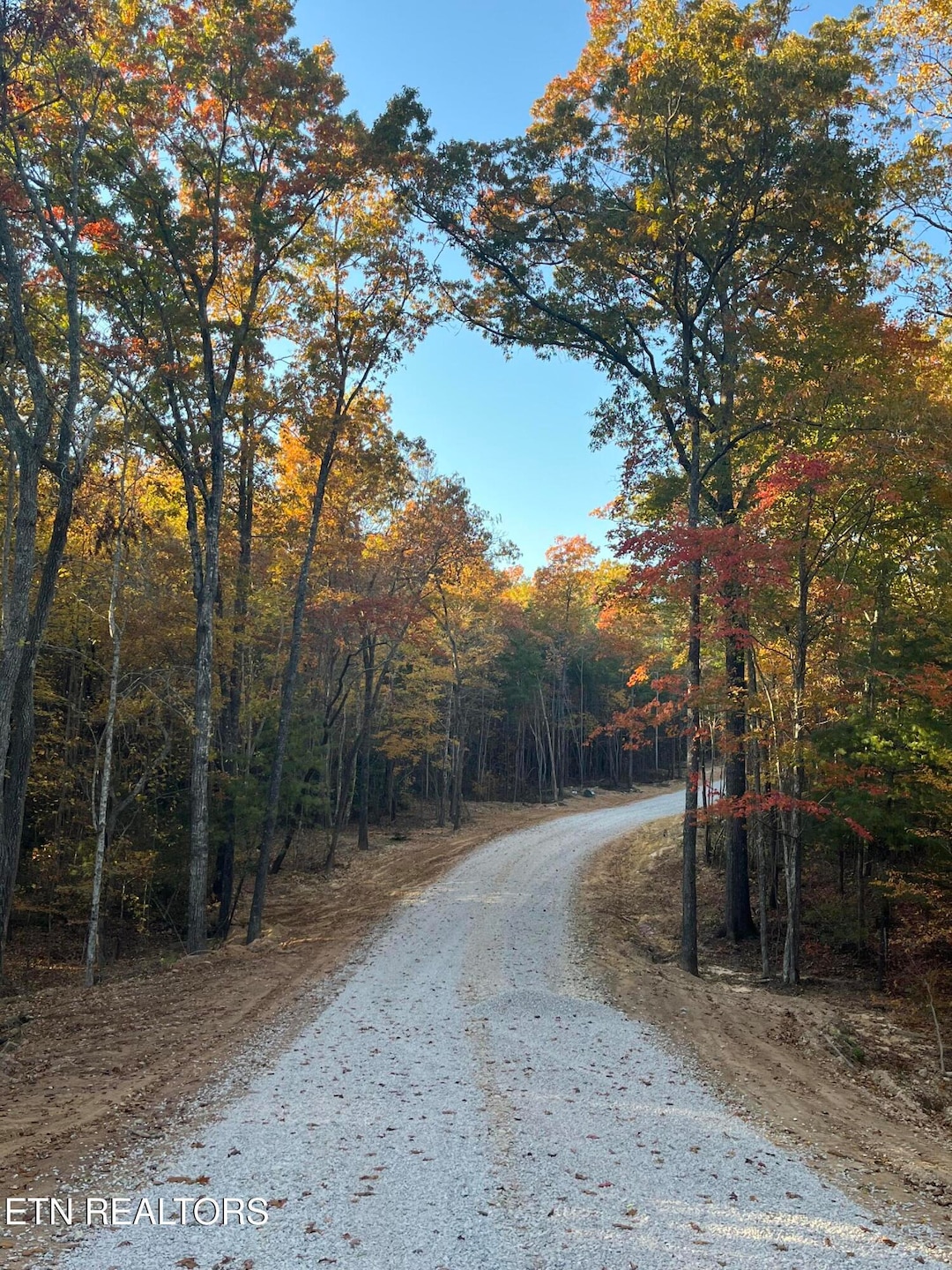 109 Cherokee Path, Tellico Plains, TN 37385 - photo 1