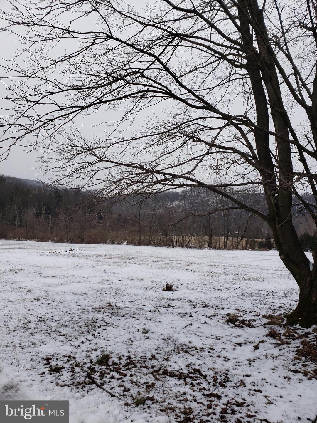244 Cold Run Rd, New Ringgold, PA 17960 - photo 1