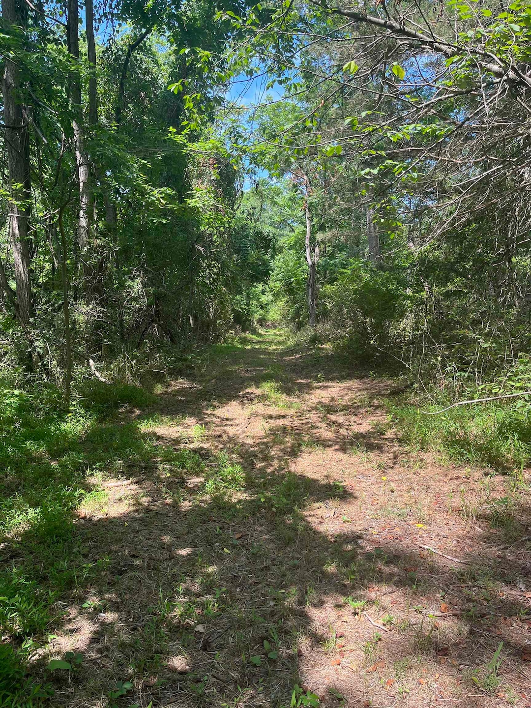For Sale $187,000 • Co-Listing Agent