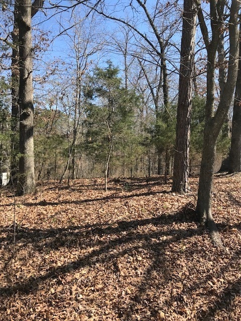 Lot 4 Block 6 Wreay Ln, Bella Vista, AR 72714 - photo 1