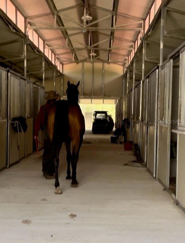 14192 Ermine Owl Rd, Brooksville, FL 34614 - photo 1