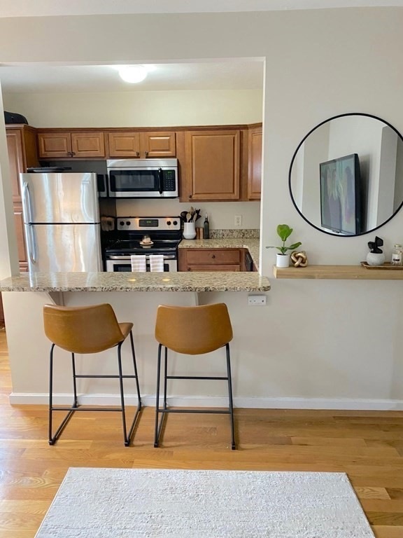 1 Grace Ct unit 1, Boston, MA 02127 - photo 1