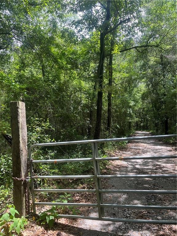 View of gate