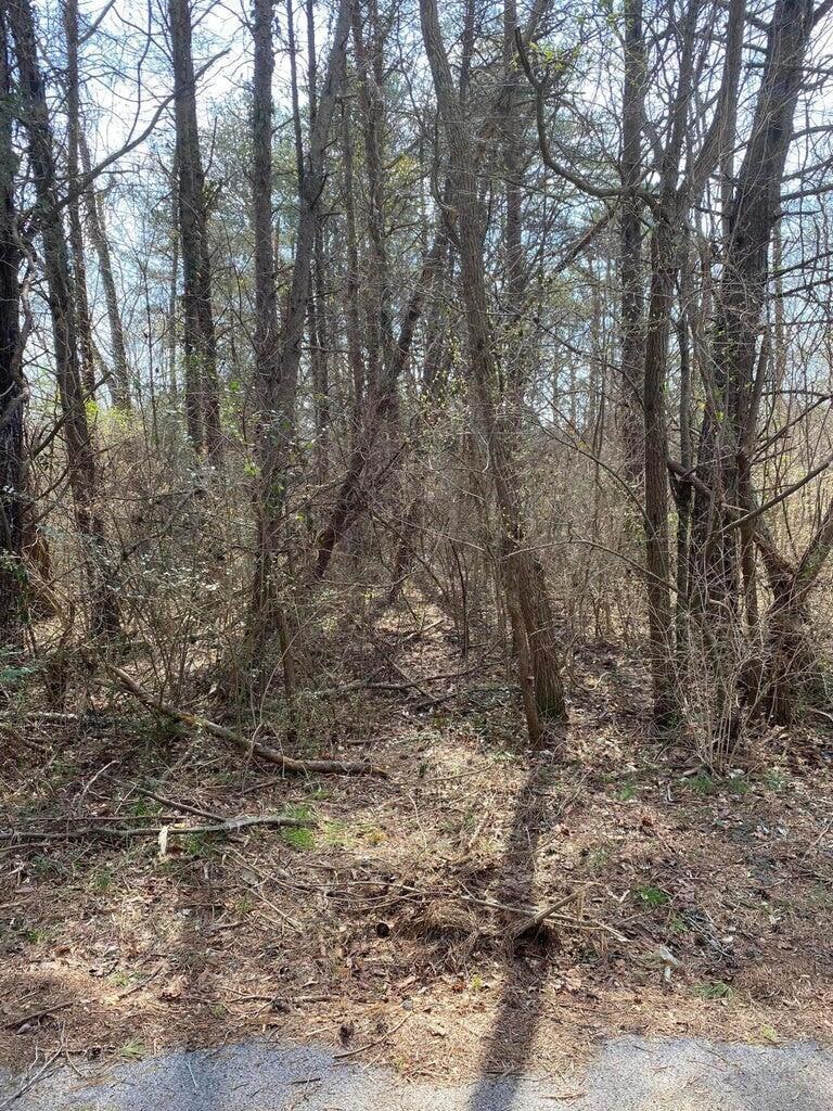Palisades 1