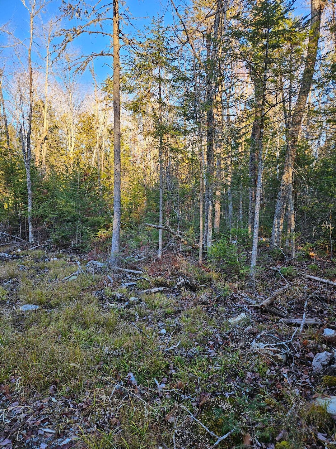 199 Poplar St, Old Town, ME 04468 - photo 1