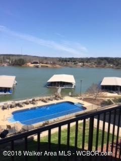 pool and lake area