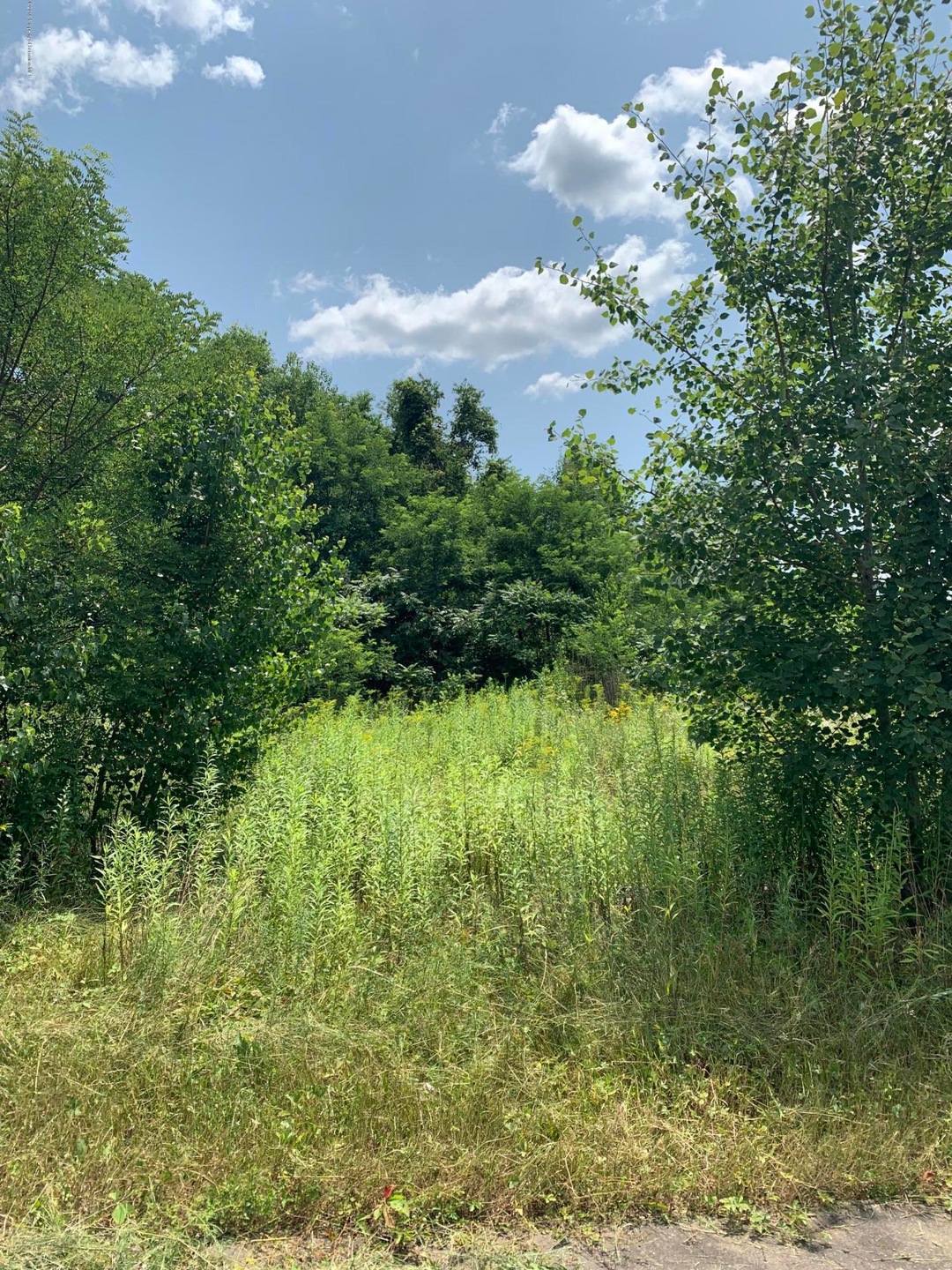 Lot 112 Euclid Ave, Scranton, PA 18504 - photo 1