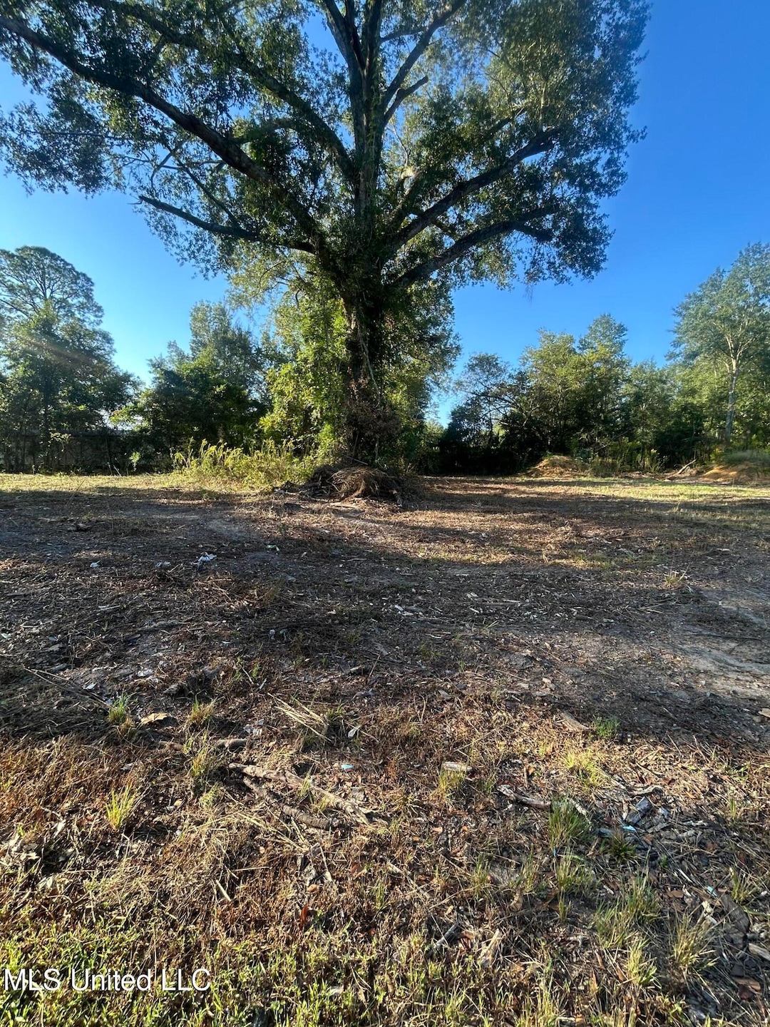 224 W Holly St, Magnolia, MS 39652 - photo 1