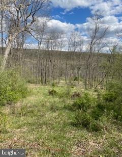 LOT 18 Warden Lake, Wardensville, WV 26851 - photo 1