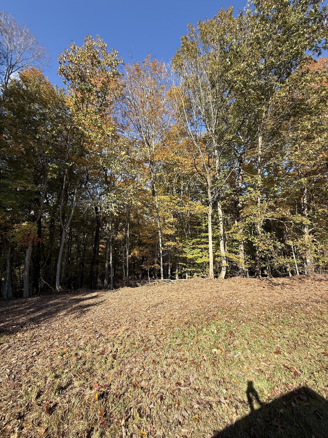 0 Collins Rd, Allons, TN 38541 - photo 1