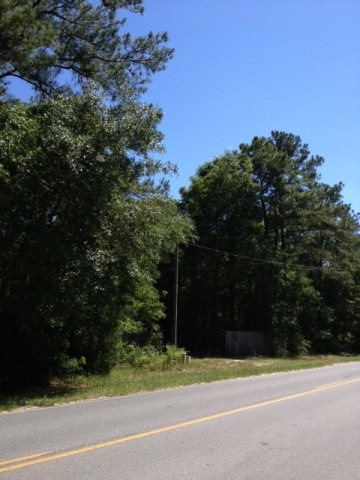 23 Ac Johnson Rd, Crescent, GA 31304 - photo 1