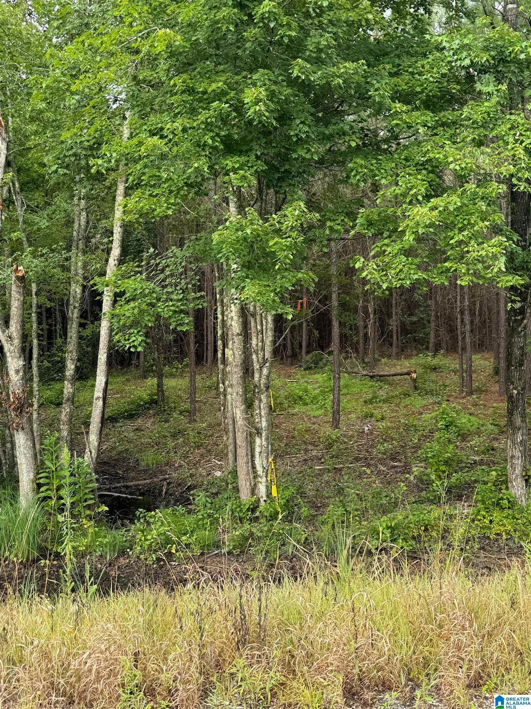 0 Concord Church Rd unit 5&6 21425035, Talladega, AL 35160 - photo 1