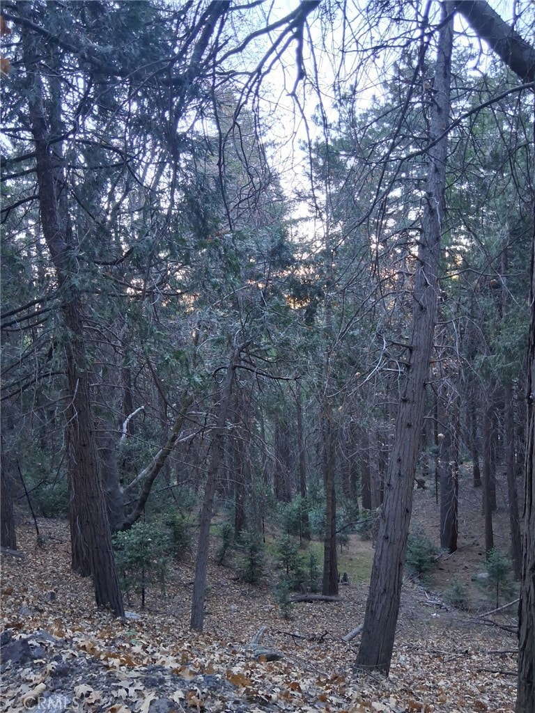 0 Reservoir Rd unit IG25260268, Cedarpines Park, CA 92322 - photo 1