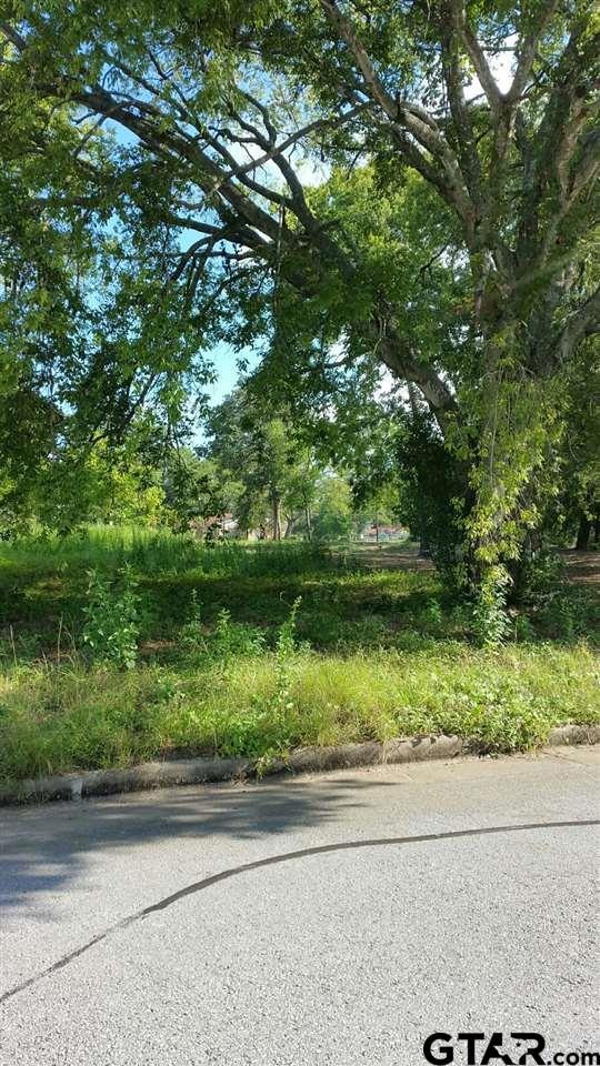 3019 Moorehead St, Tyler, TX 75701 - photo 1