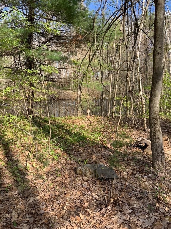 102 Knower Rd, Westminster, MA 01473 - photo 1