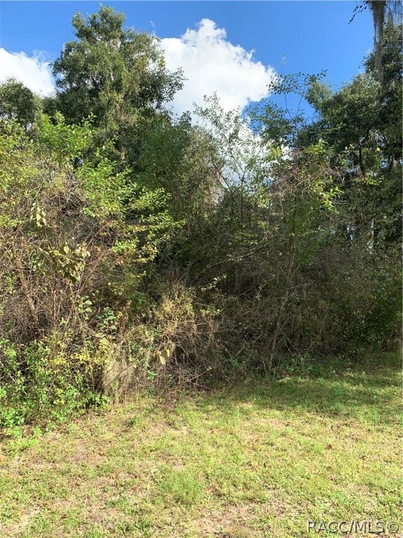 Beautiful homesite