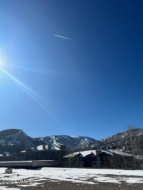 Viewpic1