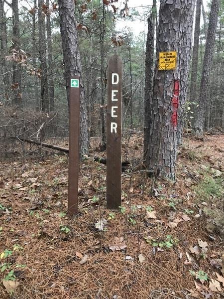 0 Deer Trail 5 Ac unit 122784, Buena Vista, TN 38318 - photo 1