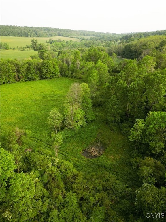 0 Searls Rd unit S1612623, Cortland, NY 13045 - photo 1