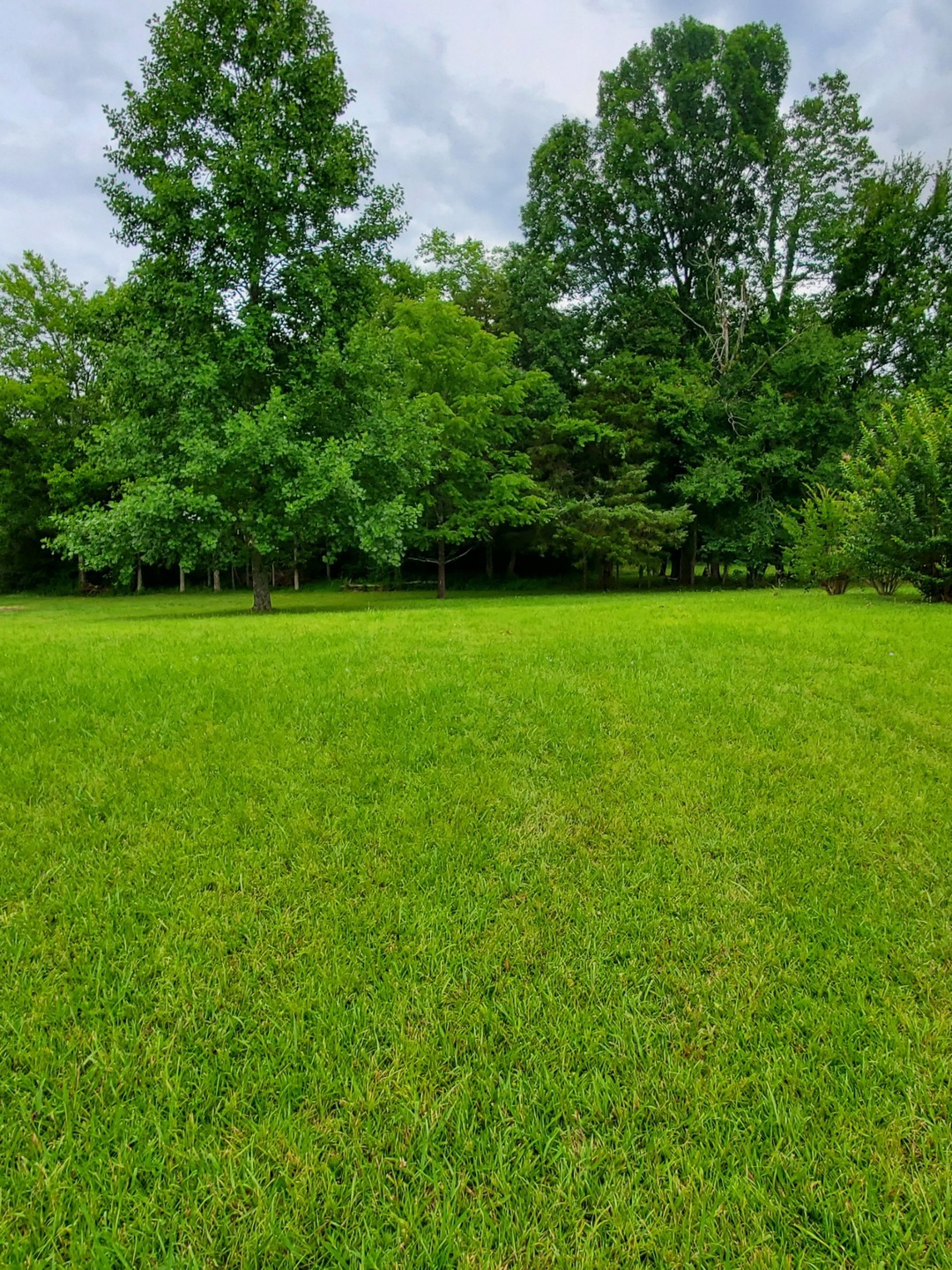 0 Highway 82 S unit RTC2545868, Shelbyville, TN 37160 - photo 1