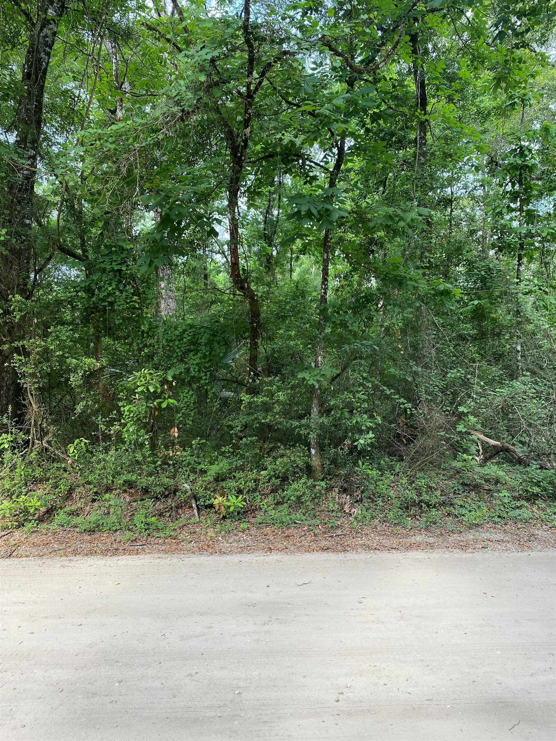 Lot 74 Rochelsie Rd, Crawfordville, FL 32327 - photo 1