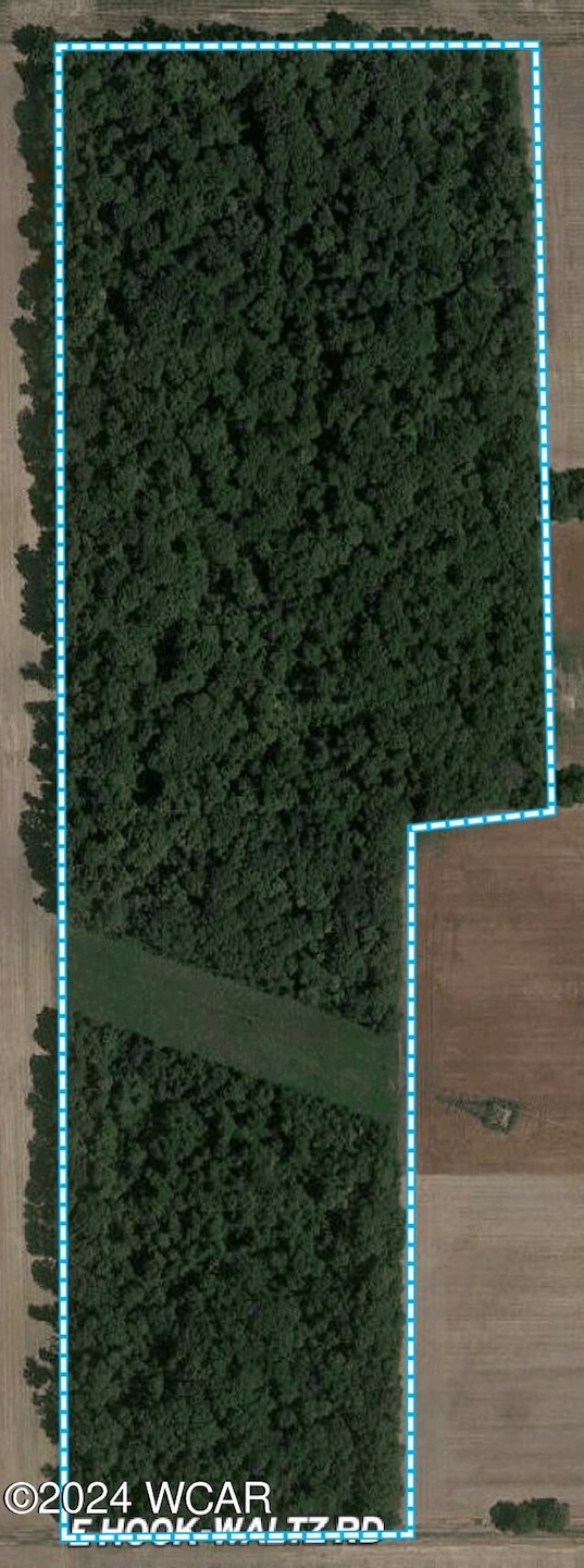 Alan Allen County Woods
