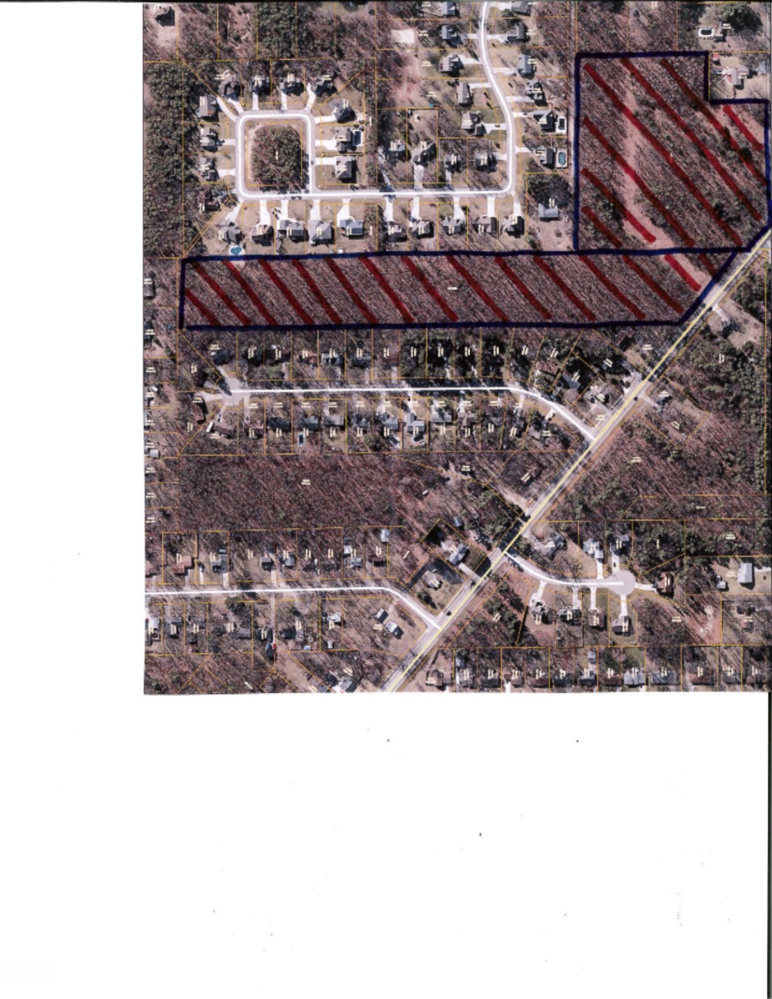 survey photo