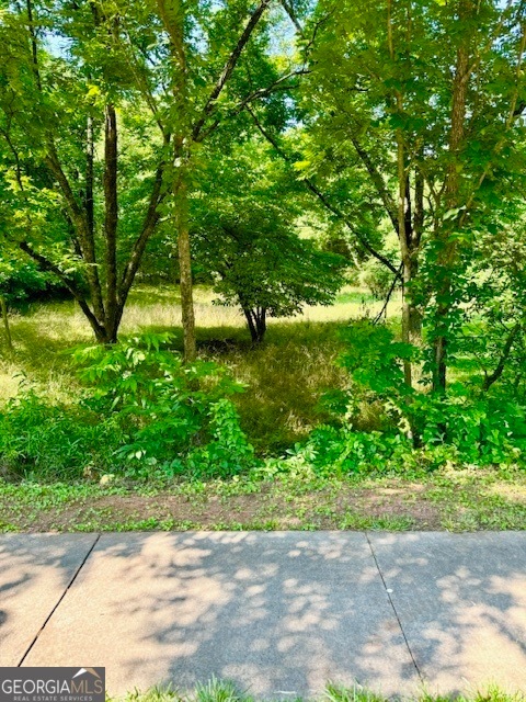 View from Timothy Road