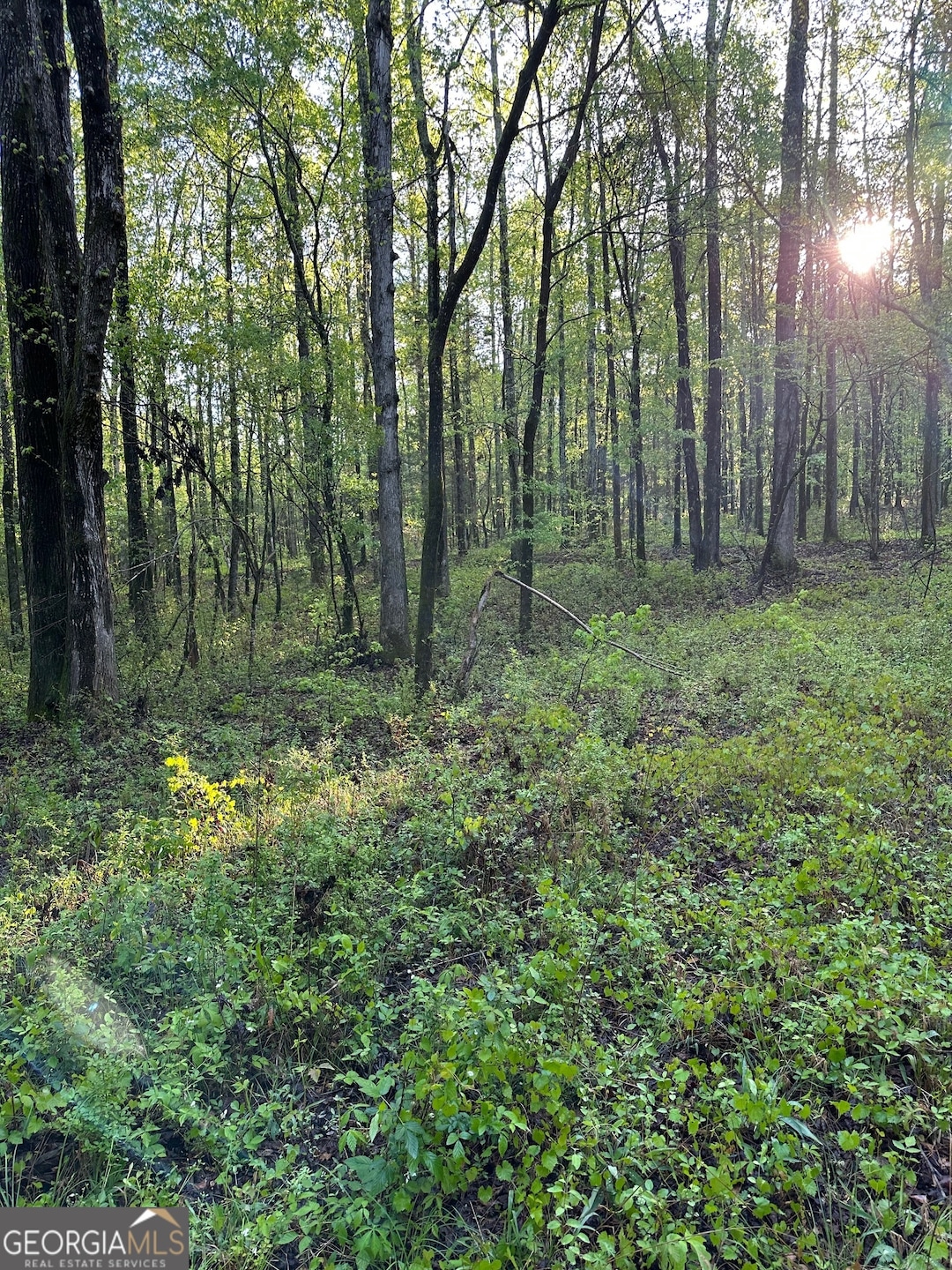 1433 Cleveland Farm Rd, Locust Grove, GA 30248 - photo 1