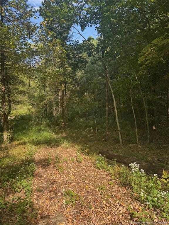 2843+ E Thornton Rd, Madison, IN 47250 - photo 1