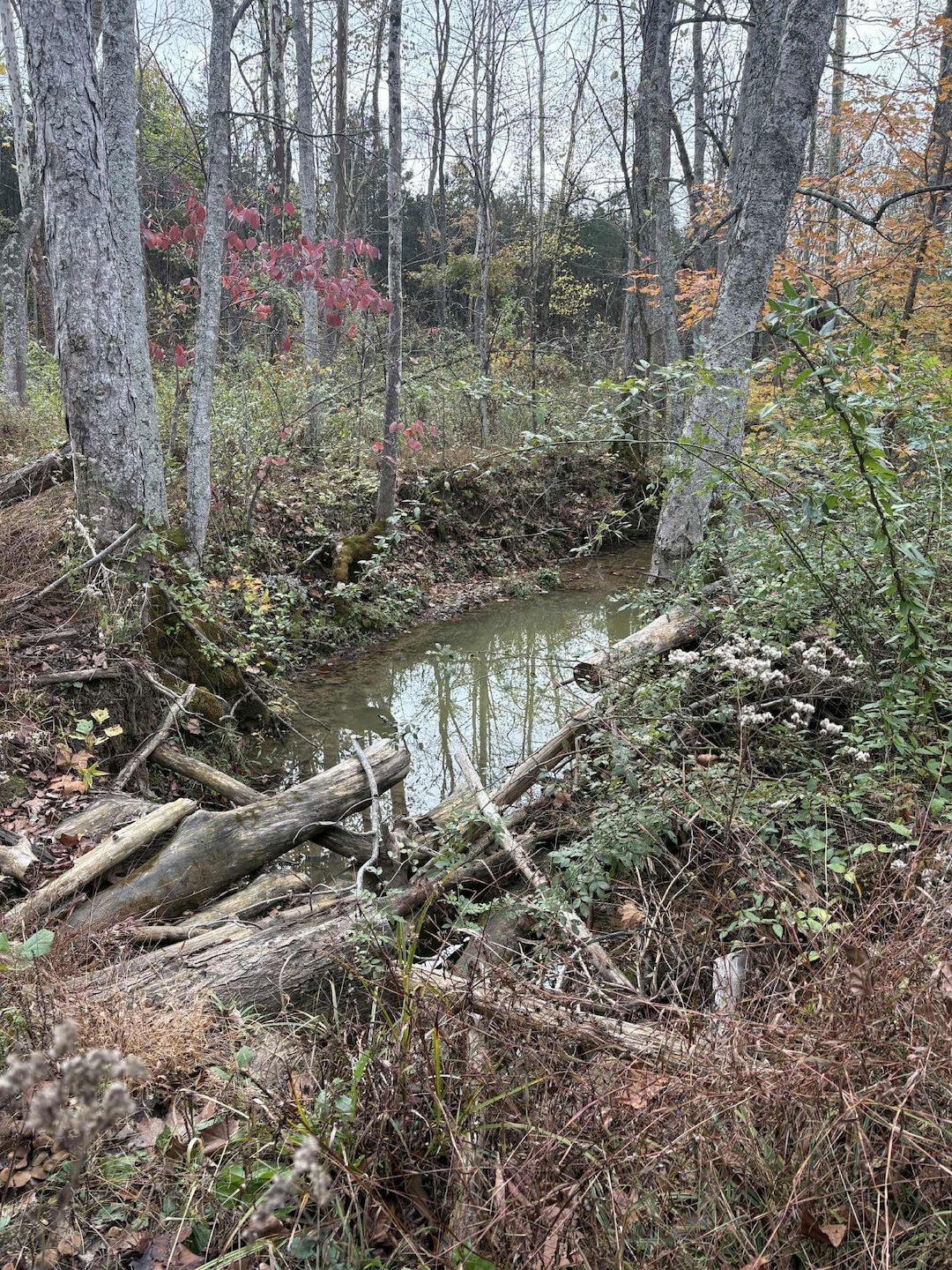 Pine Grove Ch Rd, Vanceburg, KY 41179 - photo 1