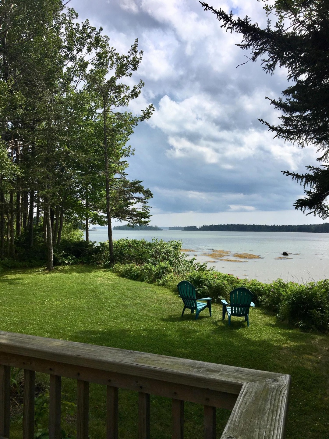 From the deck to law to Bay.