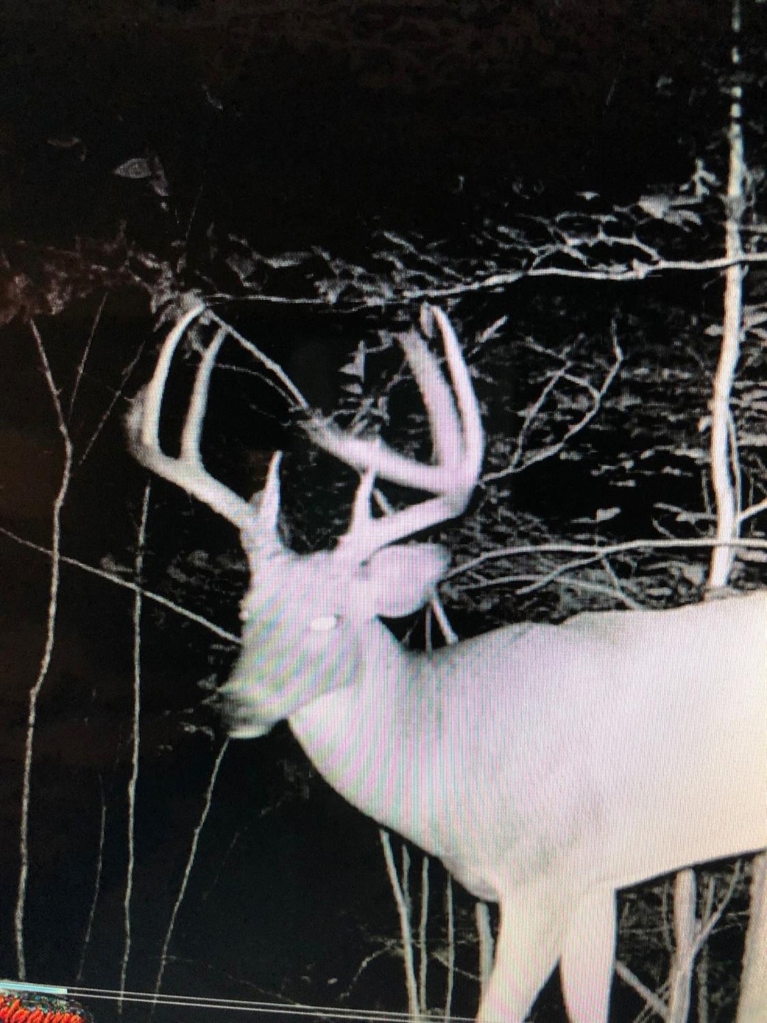 Happy Top has shares the fertile hunting