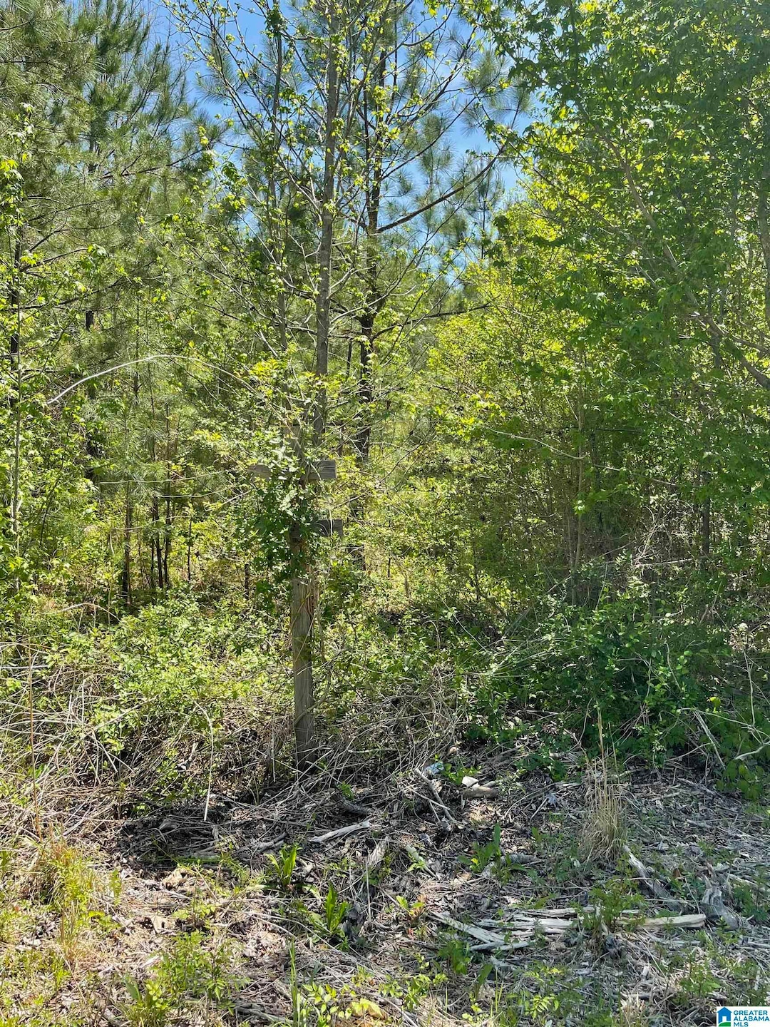 0 Berney Station Rd unit 9.38 1351836, Talladega, AL 35160 - photo 1