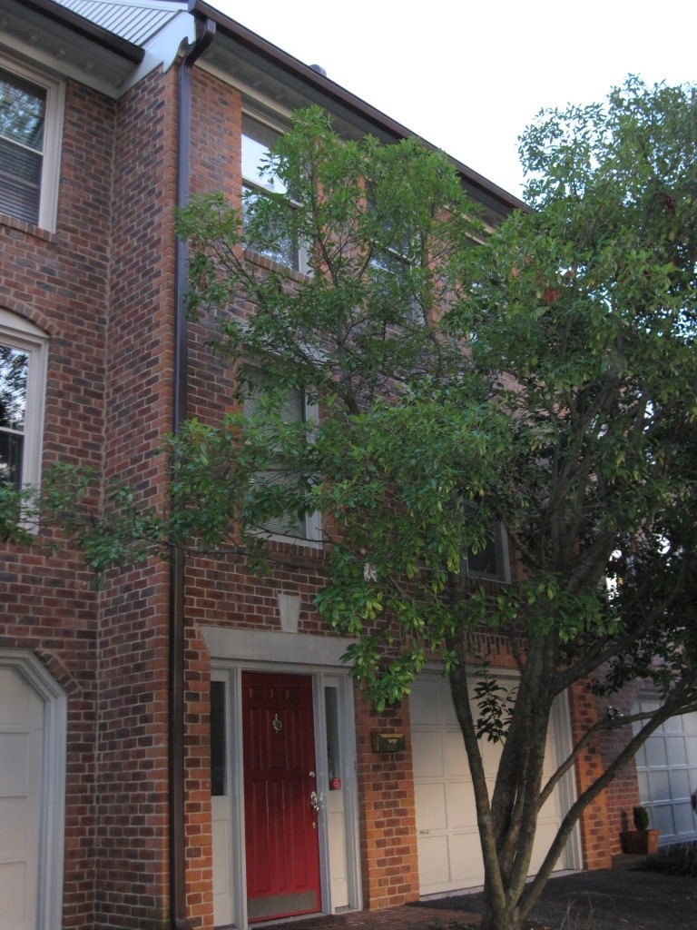 Front of Townhouse