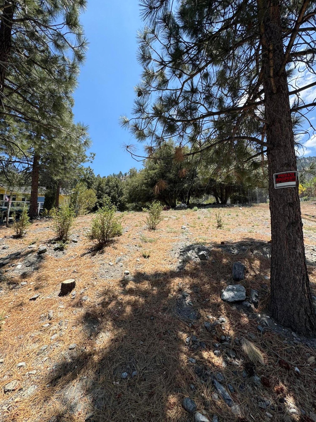 5236 Desert View Dr, Wrightwood, CA 92397 - photo 1