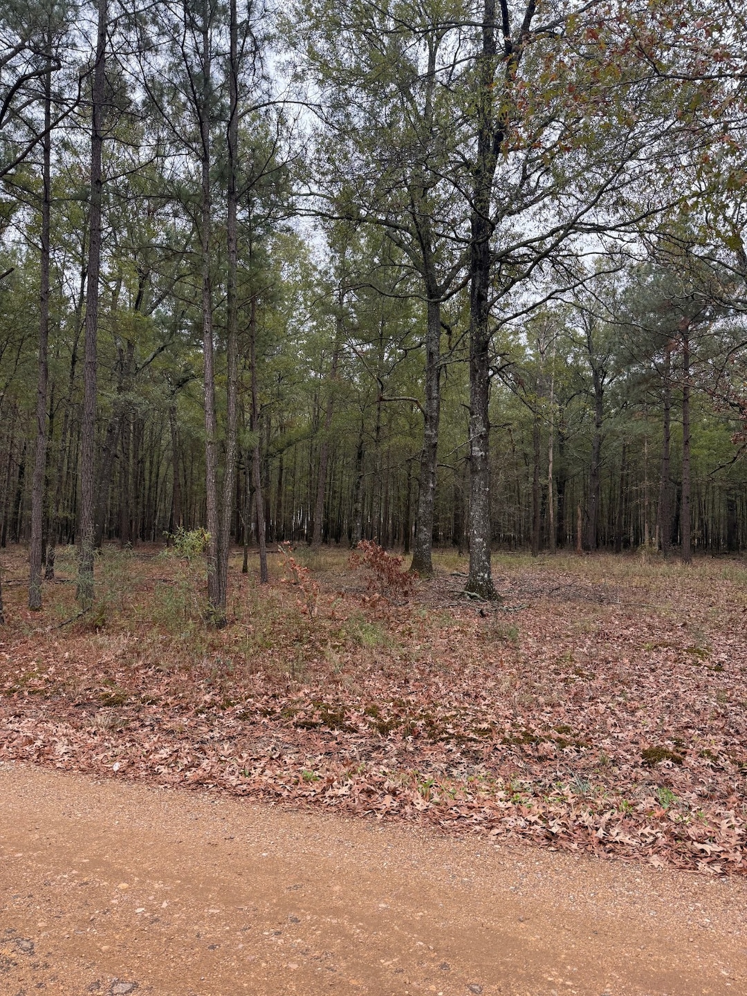 2031 Parkview Ave, Ashdown, AR 71822 - photo 1