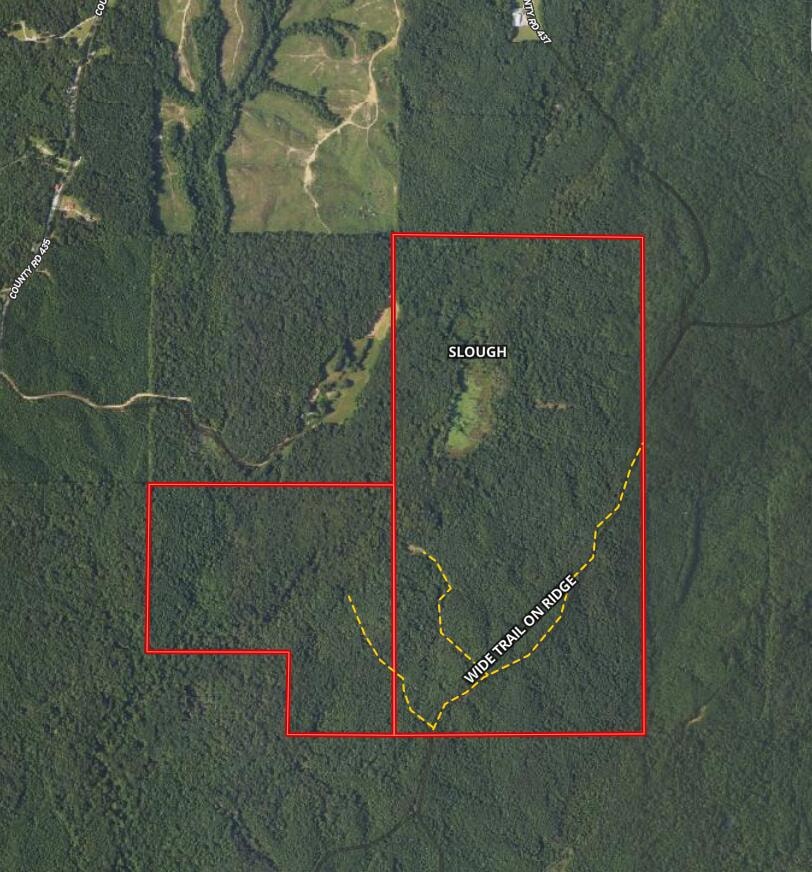 0 Cr 437 unit 24-2709, Ashland, MS 38603 - photo 1