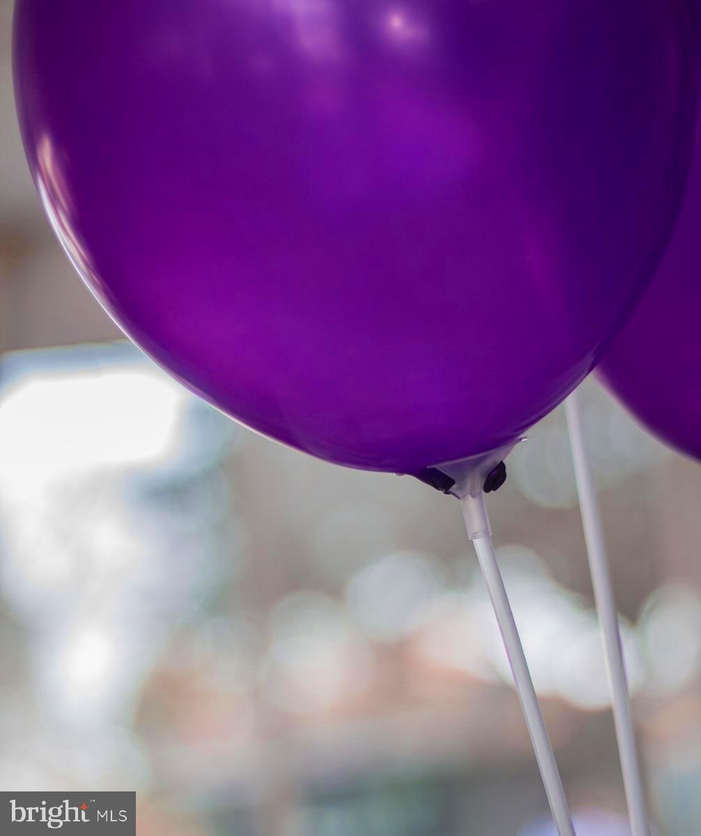 11009 Kinship Ct unit 301, Manassas, VA 20109 - photo 1