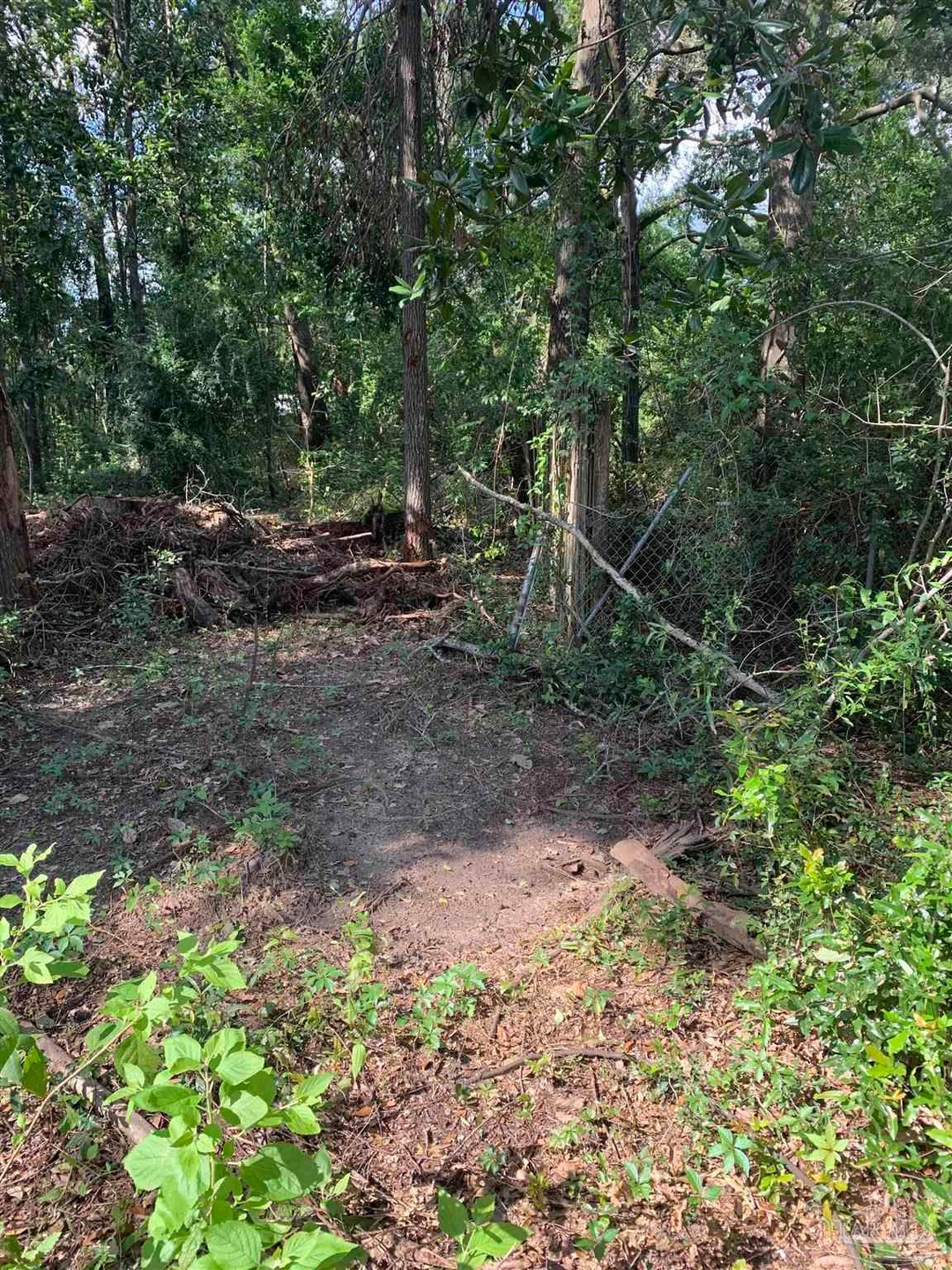 165 Commercial Dr, Cantonment, FL 32533 - photo 1