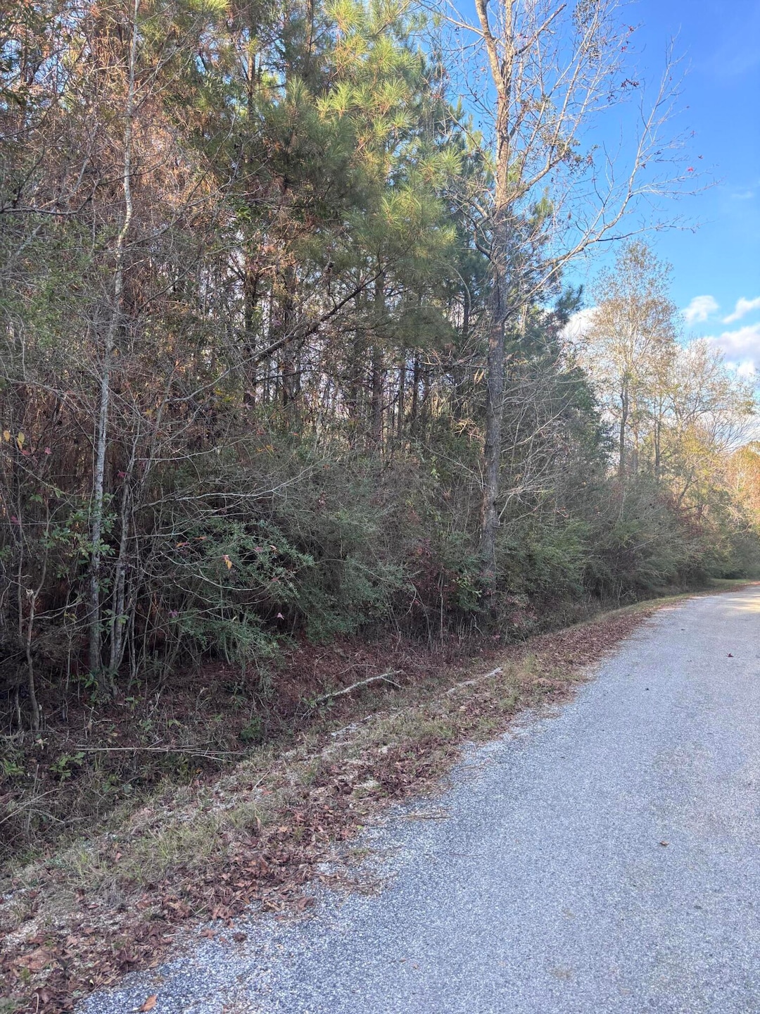 00 Williams Cutoff, Sumrall, MS 39482 - photo 1