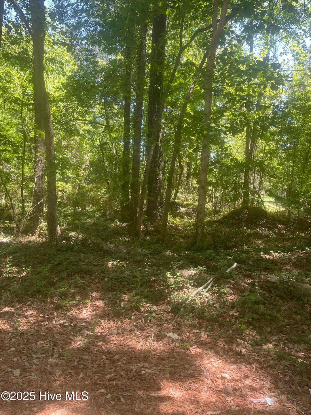 land